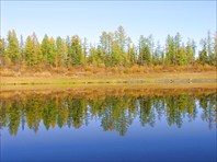 59 по речному зеркалу